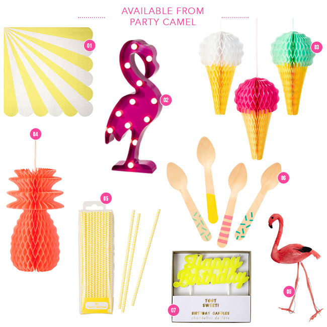 Party Supplies Dubai Party Camel